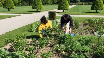 JARDIN