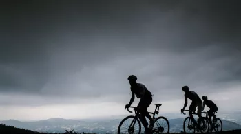 TDF 2019