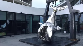 Sculpture pêche au thon au Musée Mer Marine de Bordeaux / © Guillaume Decaix - France Télévisions