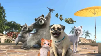 Mike, une vie de chien