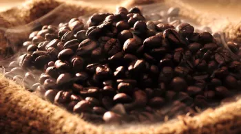 graines café