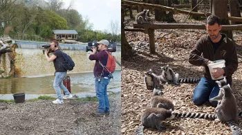 Vachement normand au zoo de Cerza