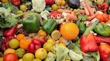 légumes