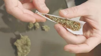 CANNABIS
