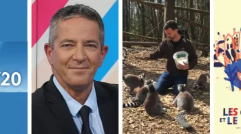 Succès d'audiences semaine 40 - 2019