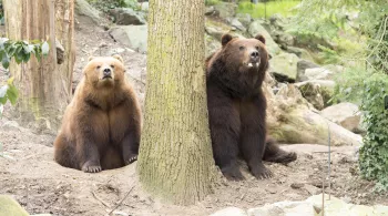 UNE SAISON AU ZOO
