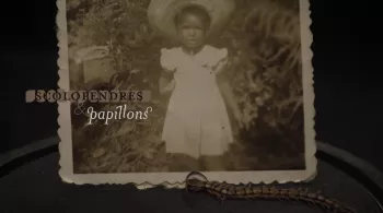 SCOLOPENDRE ET PAPILLONS