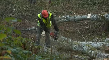 © Jean-Stéphane Maurice / France 3 Franche-Comté