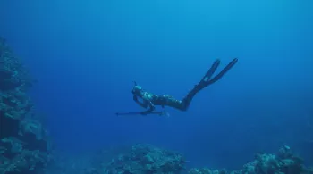 3 NUANCES DE BLEU - PACIFIQUE, UN OCÉAN NOURRICIER