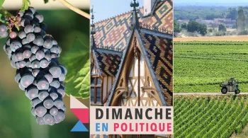 Dimanche en politique