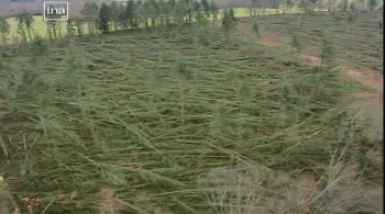 la tempête du siècle 