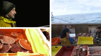 Vachement Normand : La vie à bord d'un chalutier