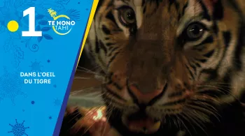 Film dans l'oeil du tigre