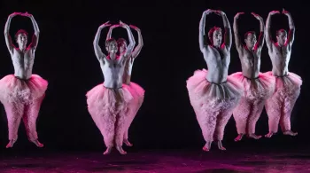 Tutu