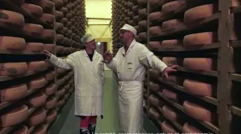 Le comté