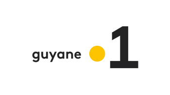 logo g1
