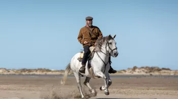 cantona