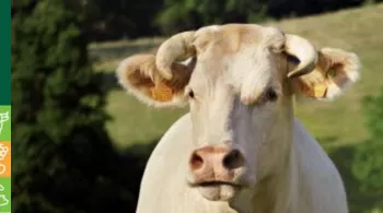 SALON AGRICULTURE
