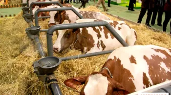 Salon de l'agriculture
