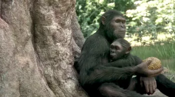 NOS ANCÊTRES LES HOMINIDÉS