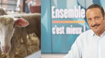 Le grand concours des régions au SIA 2020