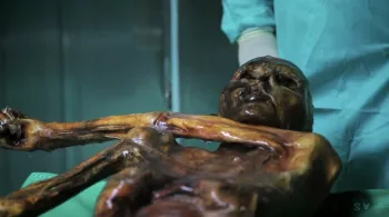 otzi