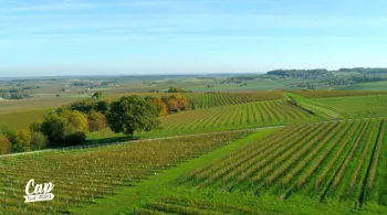 Cognac
