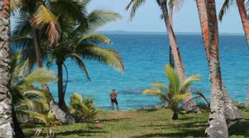 Bassié à Lifou