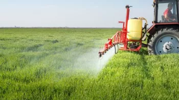 PESTICIDES