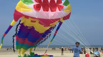 Berck 