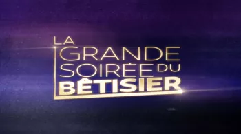LA GRANDE SOIRÉE DU BÊTISIER