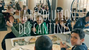 canrtine