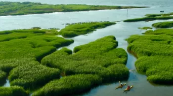 Bassin d'Arcachon