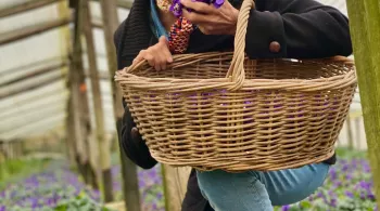 Nathalie Simon à Tourrettes-sur-Loup