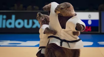Marmottes judo
