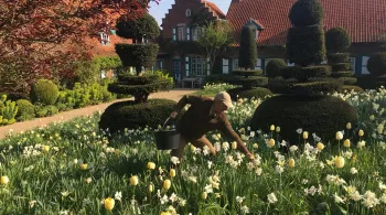 LE BEL ESPRIT JARDINIER