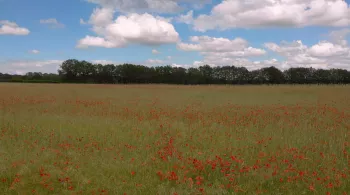 LES 100 LIEUX QU'IL FAUT VOIR