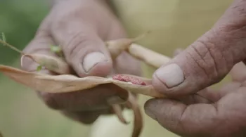ARCHIPELS : NOUS, GENS DE LA TERRE : CILAOS, AU NOM DE LA TERRE