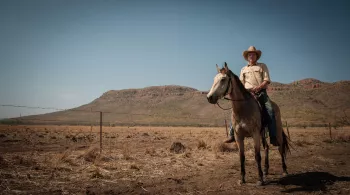 MYSTERY ROAD - Saison 1