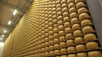 PARMESAN, râpe-moi si tu peux