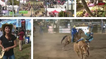Foire de Bourail
