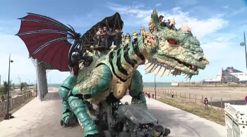 Dragon Calais