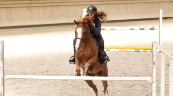 Au galop !