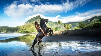 UA HUKA : L'ÎLE AUX CHEVAUX 