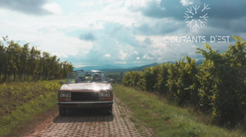 Courants d'Est - Sur la route des vins d'Alsace - SOURCE FTV 