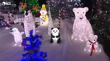 Visuel d'un jardin de Noël avec des animaux illuminés