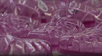 L'Odyssée de la sandale en plastique 