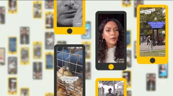 franceinfo Tik Tok