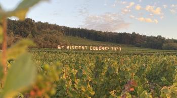 Saint-Vincent Tournante à Couchey