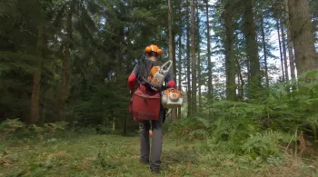 Des chemins en commun